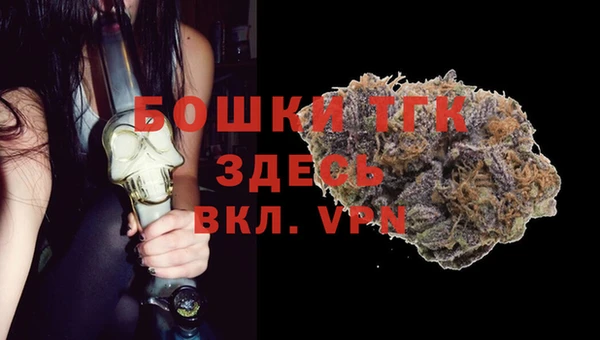 СК Волоколамск