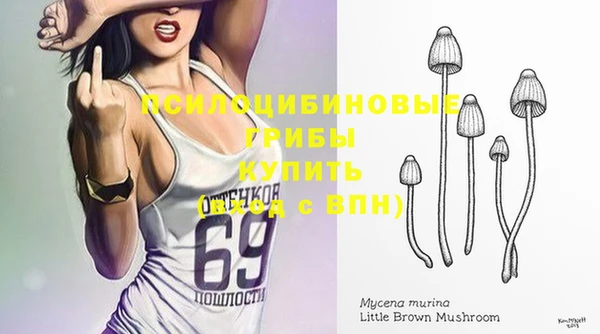 СК Волоколамск