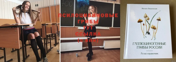 СК Волоколамск