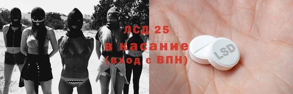 PSILOCYBIN Волосово