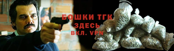 PSILOCYBIN Волосово