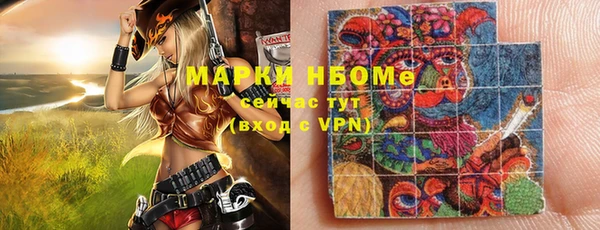 PSILOCYBIN Волосово