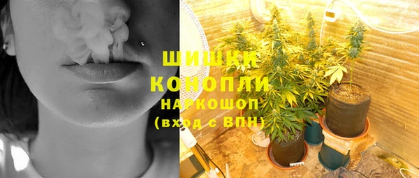 СК Волоколамск