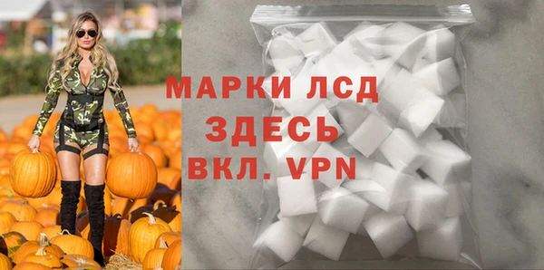PSILOCYBIN Волосово